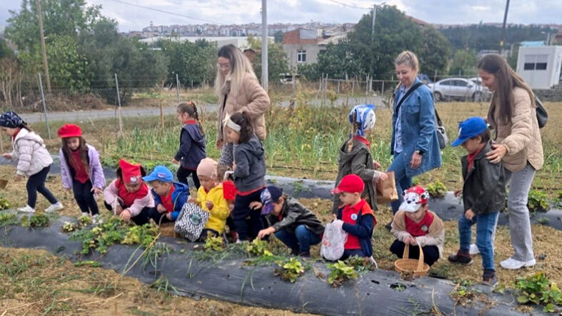 Çınarlı Etkinlik Merkezi (2)