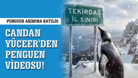 penguen