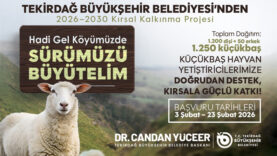 KIRSAL KALKINMA PROJESİ