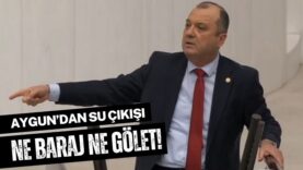 aygun