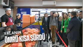 ülkemizdeki Kopyası