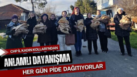 CHP-Kadin-Kollari