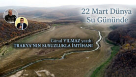 gunal-yilmaz-yazisi