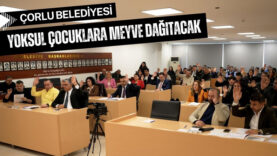 mevye-projesi