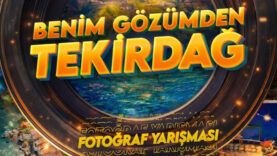 Screenshot_2