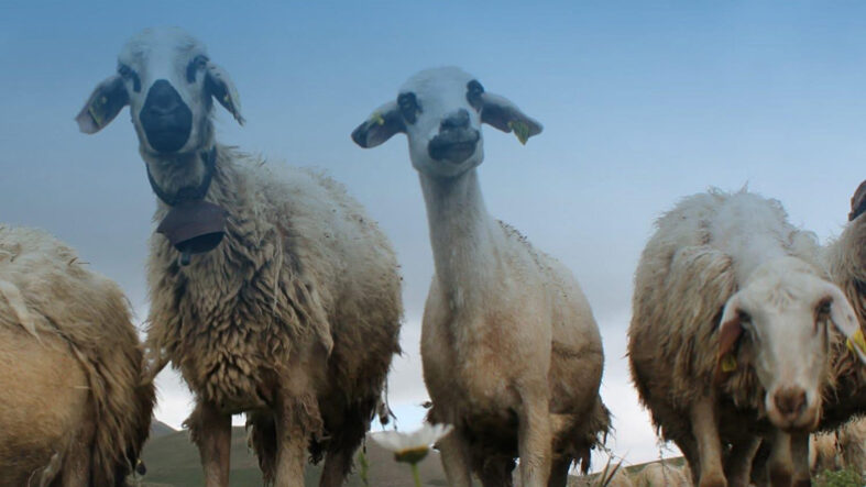 kucukbas