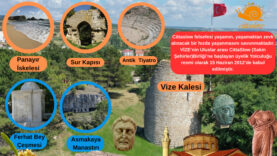 vize