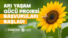 ARI YEMİ DESTEĞİ BAŞVURULARI BAŞLADI