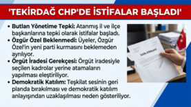 istifalar